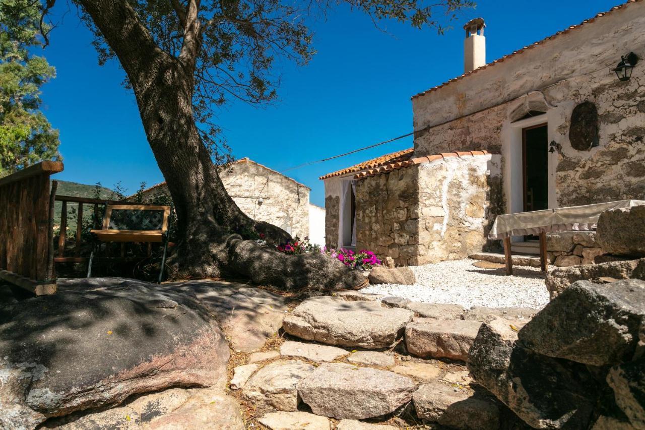Casa Vacanza Stazzu Saiacciu Palau Eksteriør billede
