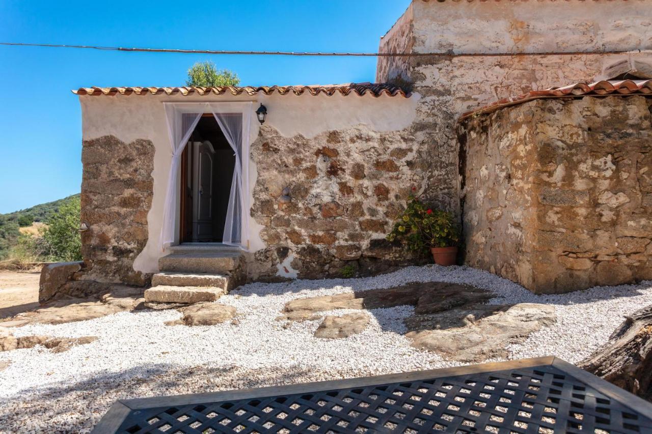 Casa Vacanza Stazzu Saiacciu Palau Eksteriør billede